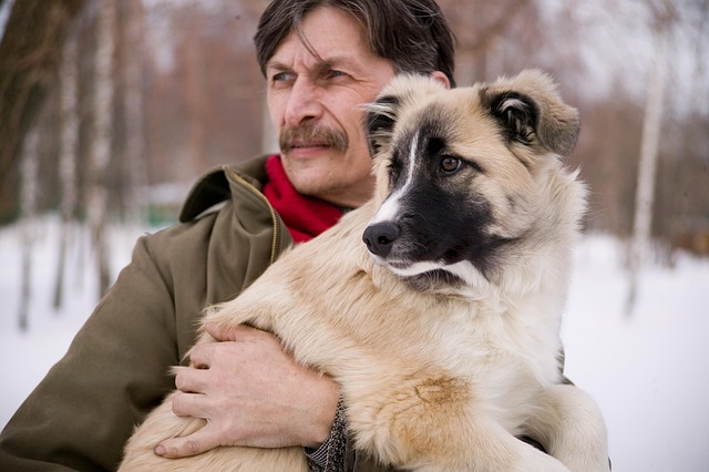 Cane e padrone