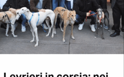 I levrieri in corsia nei reparti pediatrici a Bologna