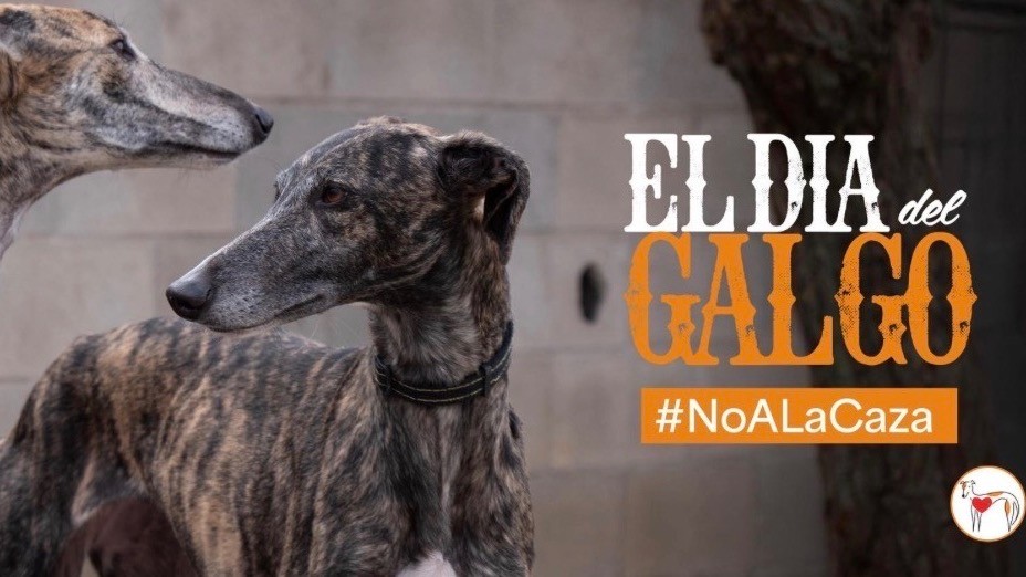 1 febbraio Giornata Mondiale del Gallo